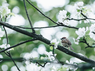 刷机后IMIE丢失怎么办 高通手机IMEI备份恢复教程